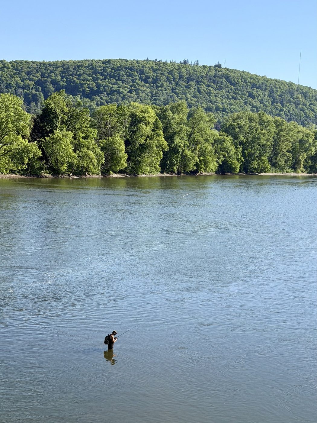 Susquehanna River, Binghamton